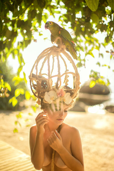 Photograph Junior Luz Wild Nature on One Eyeland