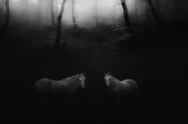 Photograph Veselin Atanasov Twain on One Eyeland