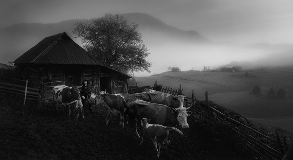 Photograph Veselin Atanasov Morning on One Eyeland