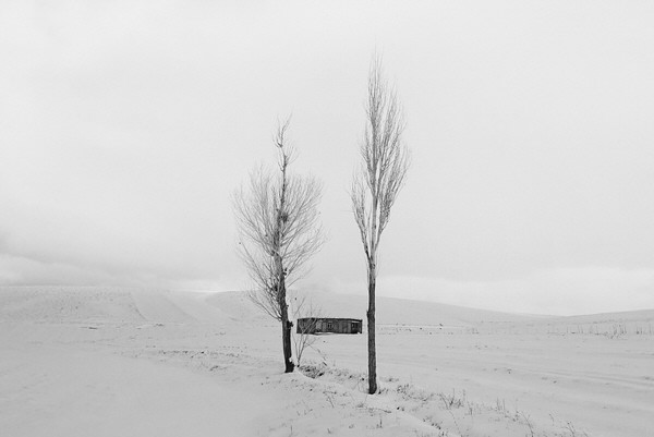 Photograph Mohammad Dadsetan Absolute Value on One Eyeland