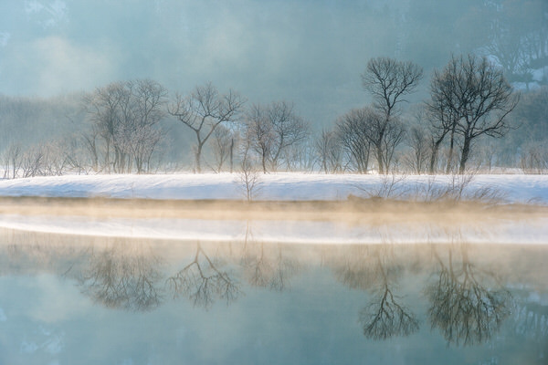 Photograph Kazuaki Koseki Trees In Hoarfrost on One Eyeland