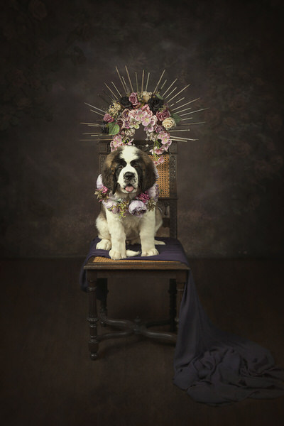 Photograph Carola Kayen Mouthaan Destiny on One Eyeland