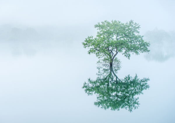 Photograph Kazuaki Koseki Alone on One Eyeland