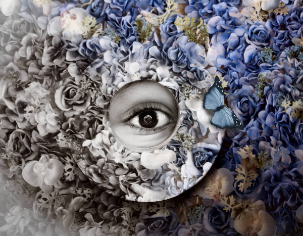 Photograph Paola Massa Desideri on One Eyeland