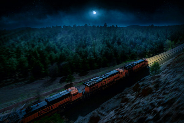 Photograph Blair Bunting Freight Train 3 on One Eyeland