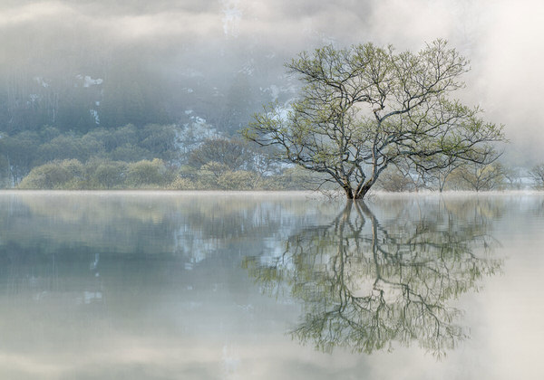 Photograph Kazuaki Koseki Shining World on One Eyeland