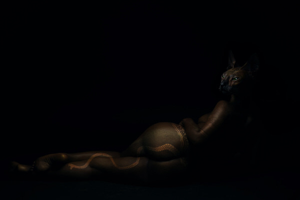 Photograph Kristopher Armstead Cleo At Night on One Eyeland