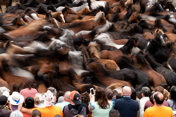 Photograph Paulo Beato Bestas on One Eyeland
