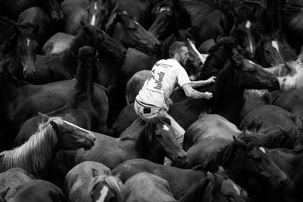 Photograph Paulo Beato Bestas on One Eyeland