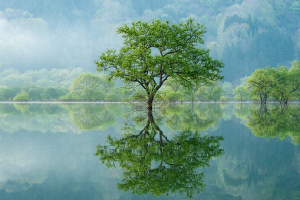 Photograph Kazuaki Koseki Glow Of Life on One Eyeland
