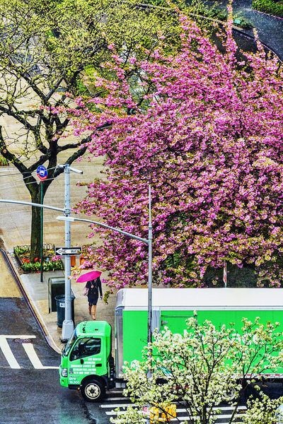 Photograph Mitchell Funk Spring Rain on One Eyeland