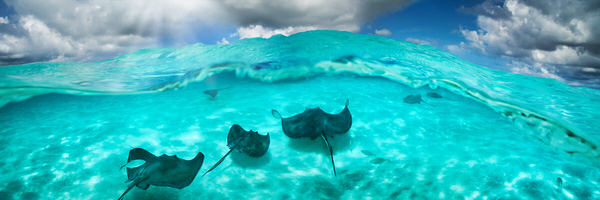Photograph Craig Bill Waterworld on One Eyeland