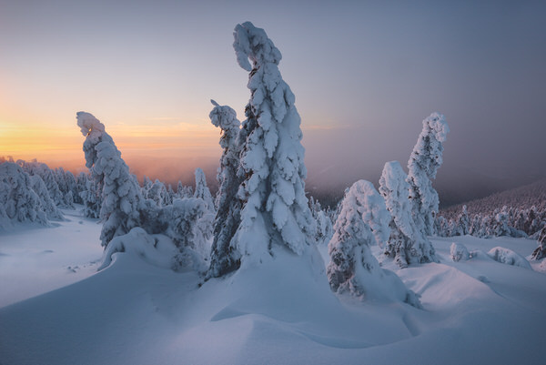 Photograph Zsolt Andras Szabo Frost Bite on One Eyeland