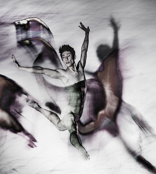 Photograph Walter Fogel Dance With The Flamingo on One Eyeland
