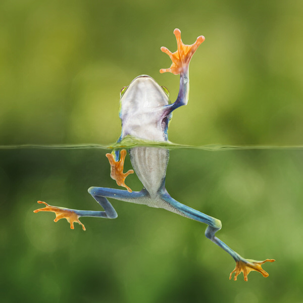 Photograph Angi Wallace The Climber on One Eyeland