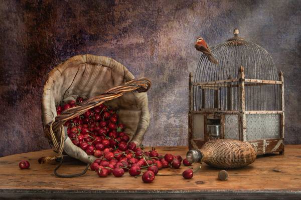 Photograph Christian Marcel Still Life With Cherries on One Eyeland