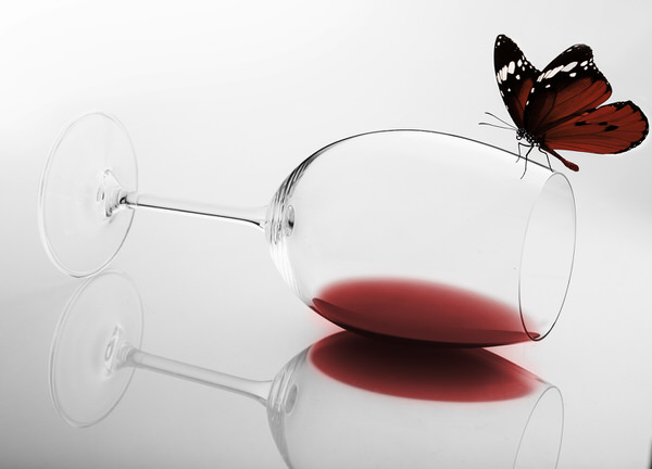 Photograph Jeferson Chagas Butterfly Concept on One Eyeland