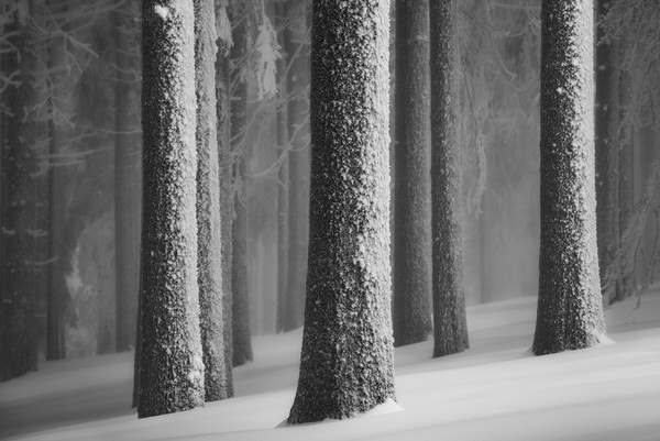 Photograph Zsolt Andras Szabo Winter Sketch on One Eyeland