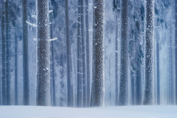 Photograph Zsolt Andras Szabo White Walk on One Eyeland