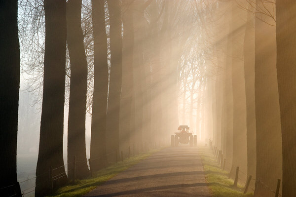 Photograph Frank Peters Tractor In The Mist on One Eyeland