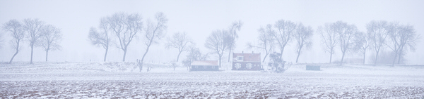 Photograph Frank Peters First Blizzard on One Eyeland