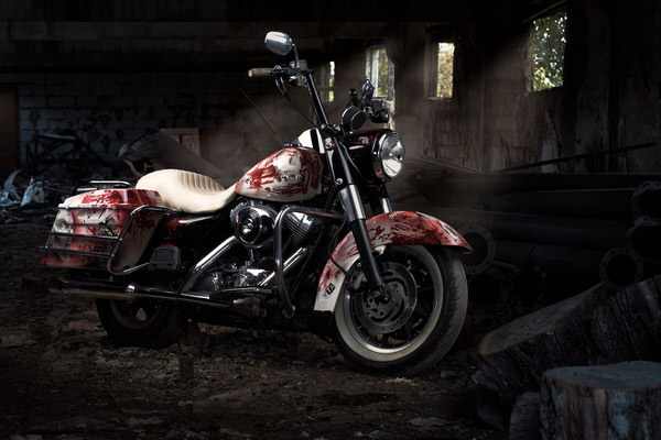 Photograph Roman Demchenko Harley Davidson Road King Custom on One Eyeland