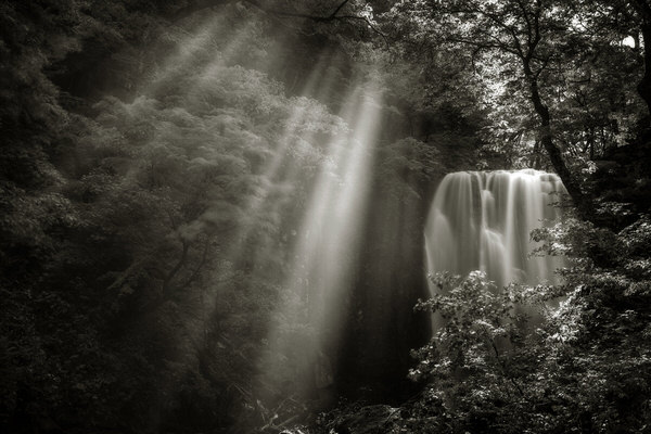 Photograph Kazuaki Koseki Shine In on One Eyeland