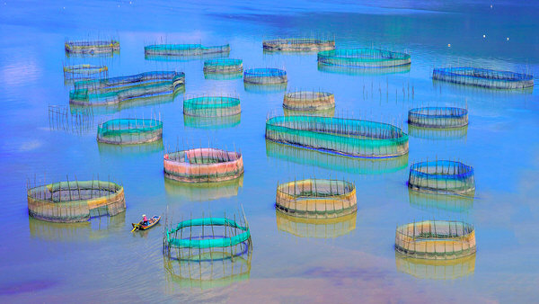 Photograph Chinfa Tzeng Discuss Life With The Sea Circle on One Eyeland