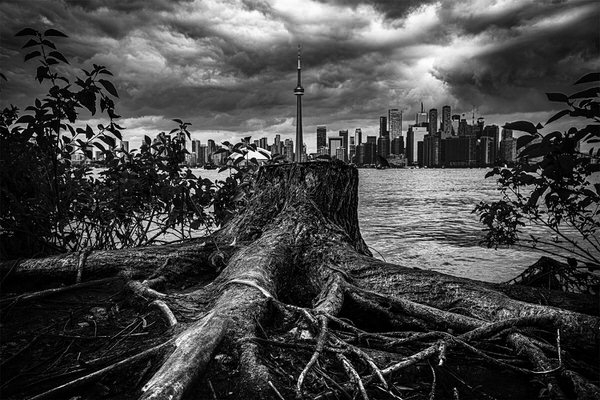 Photograph Jackson Carvalho The City Rises on One Eyeland