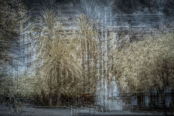 Photograph Gus Fine Art Palms on One Eyeland