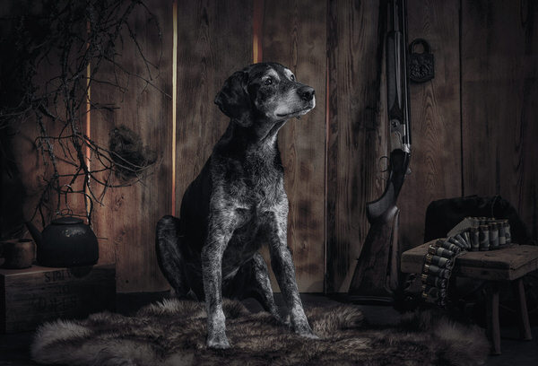 Photograph Marc Sabat Tahvo The Dog on One Eyeland