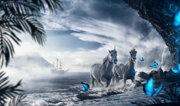 Photograph Alexandre Vieira The Refuge Of The Unicorns on One Eyeland