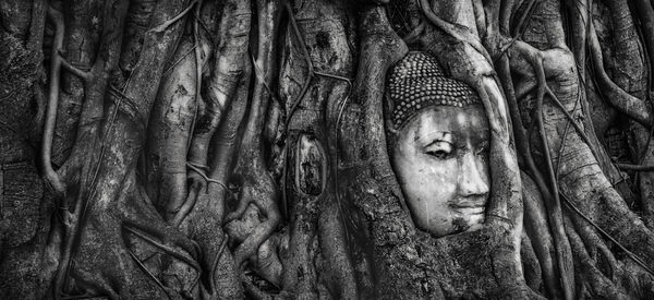 Photograph Eugenia Kyriakopoulou Tree Root Buddha on One Eyeland