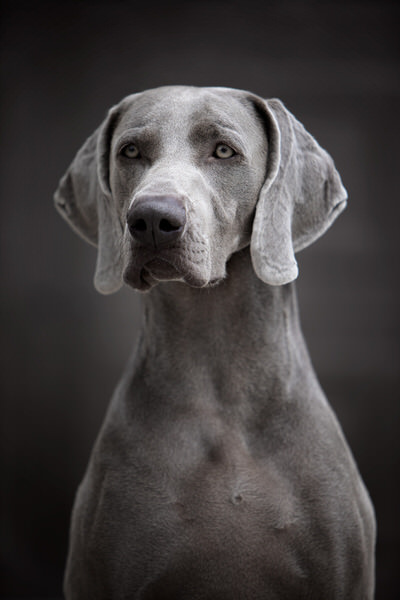 Photograph Alexandre Marques Thunder on One Eyeland
