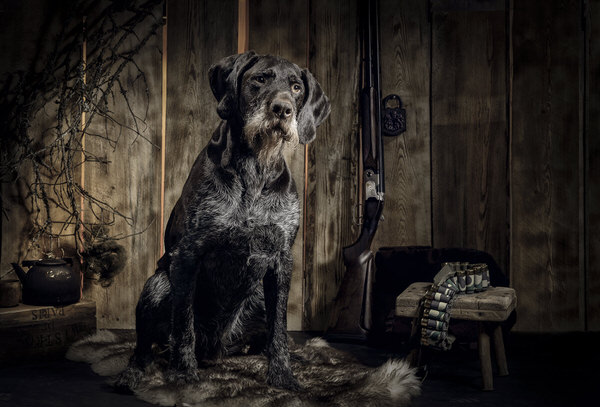 Photograph Marc Sabat Aku The Hunter on One Eyeland
