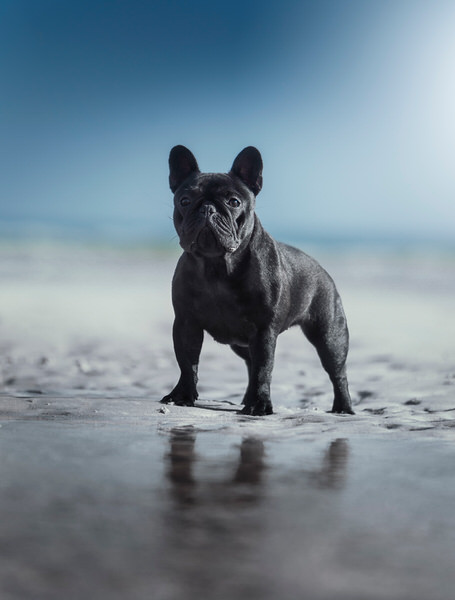 Photograph Alexandre Marques Petra on One Eyeland