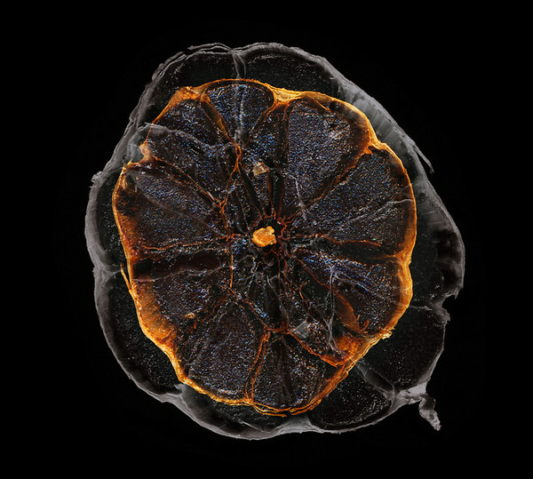 Photograph Anne Hoerter Black Garlic on One Eyeland
