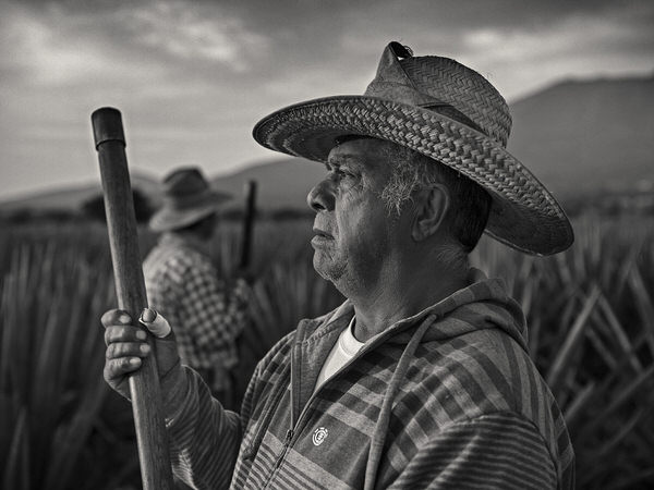 Photograph Antti Viitala Jimador Portrait on One Eyeland