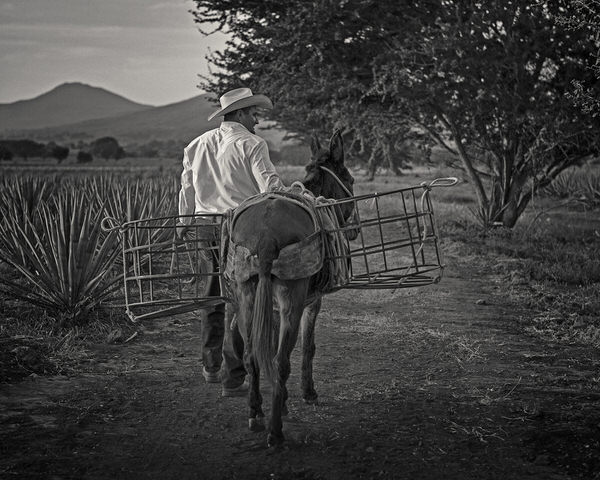 Photograph Antti Viitala El Jimador on One Eyeland