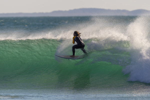 Photograph Steve Turner Fly In The Wind on One Eyeland