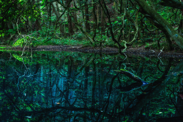 Photograph Kazuaki Koseki Mysterious Fountain on One Eyeland