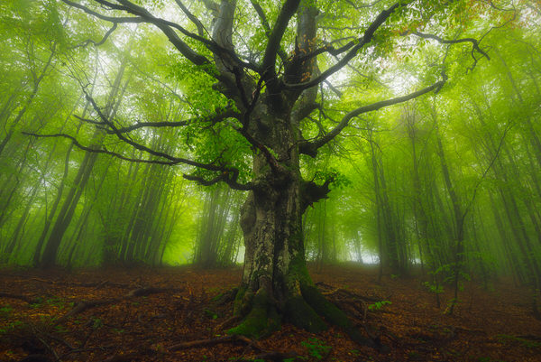 Photograph Zsolt Andras Szabo Epicentre on One Eyeland