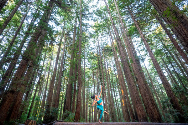 Photograph Robert Houser Redwood Yoga 1 on One Eyeland