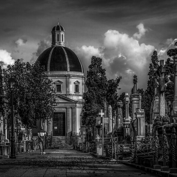 Photograph Gus Fine Art Peaceful Walk on One Eyeland