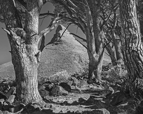 Photograph Antti Viitala Lionshead Infrared on One Eyeland