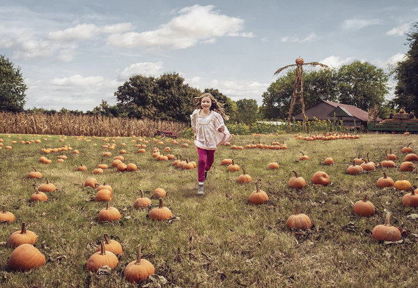 Photograph Ryan Forbes Pumpkin Patch Fun on One Eyeland