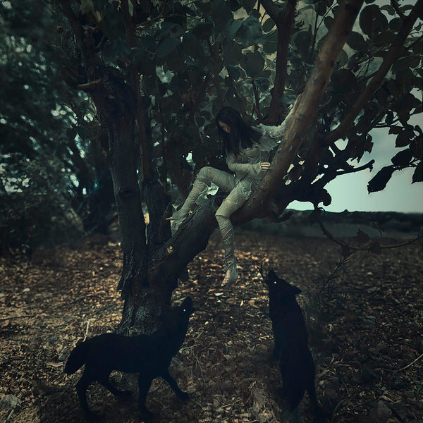 Photograph Scott Gustke Dangle on One Eyeland