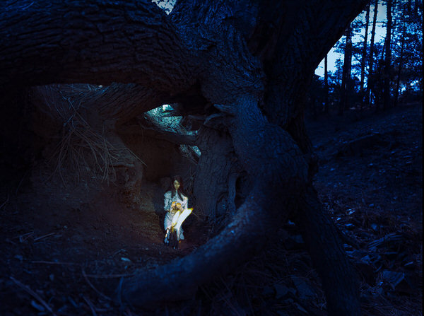 Photograph Scott Gustke Hearth on One Eyeland
