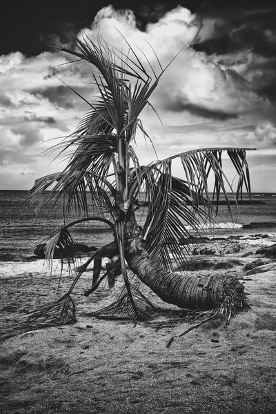 Photograph Yasuhiro Sakuda Beach on One Eyeland