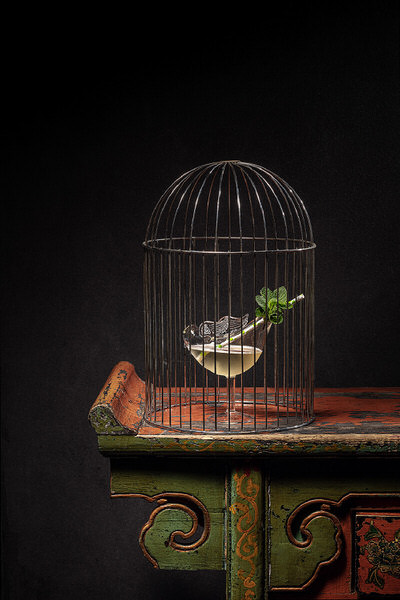 Photograph Juriy Kolokolnikov Bird In A Cage Cocktail on One Eyeland
